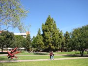 Behind the UCSB library